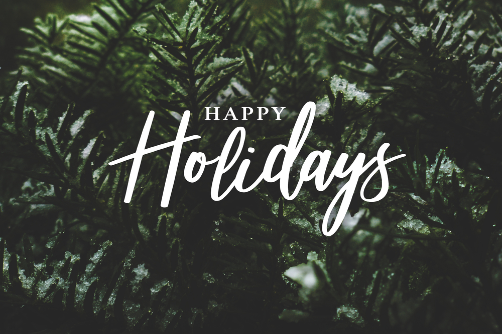 Happy Holidays from the GDS Corp Team!